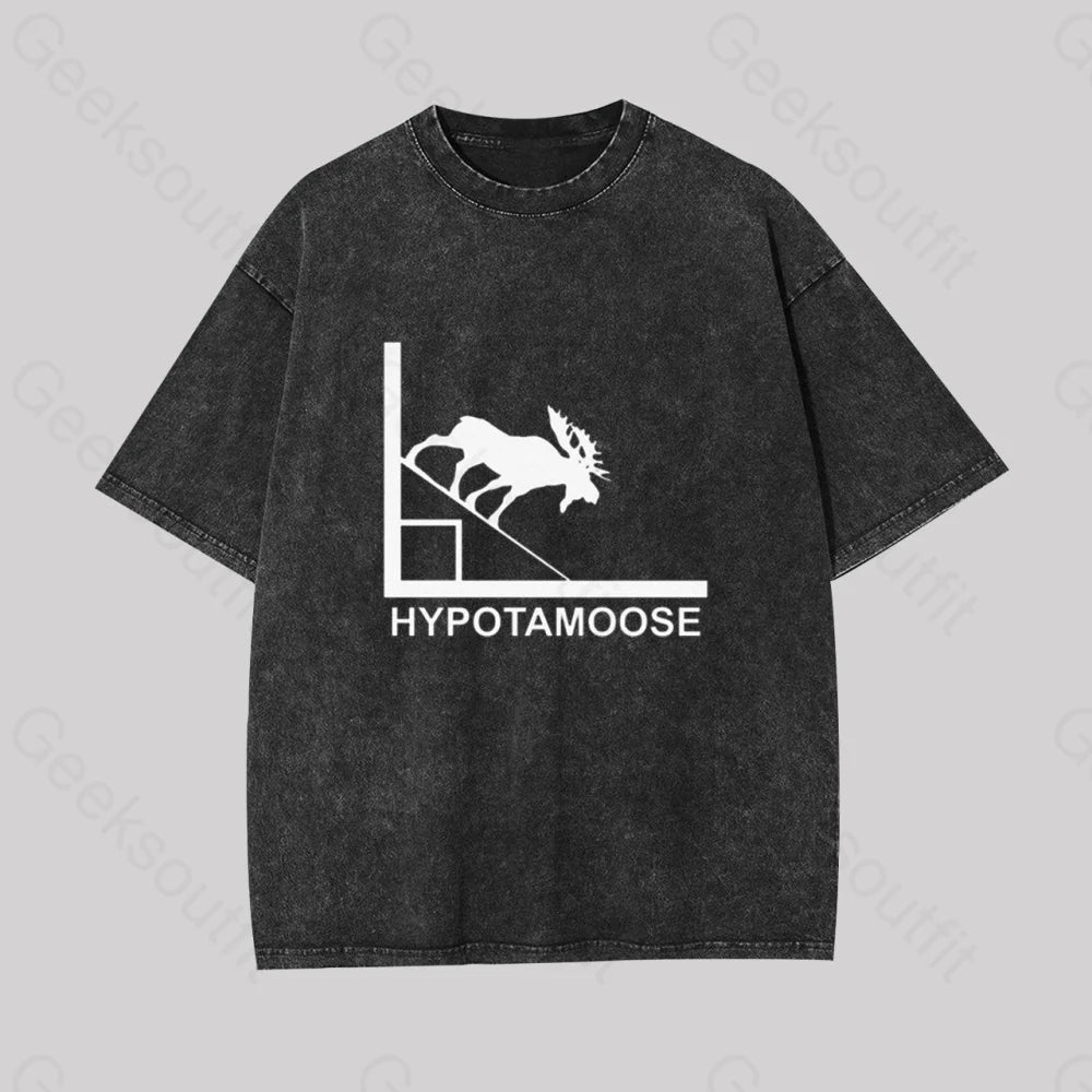 Hypotamoose Pun Geek Washed T-shirt